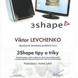 certificate-levchenko-1